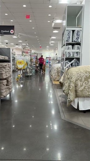 Service Dog at Wiregrass mall in Wesley Chapel