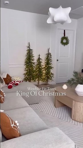 Meet the Windsor Fir Twinkle Trees #kingofchristmas