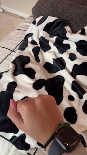 Setting Up a Gerbil Enclosure: DIY Platform and Bridge