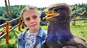 Hanka – The Falconer