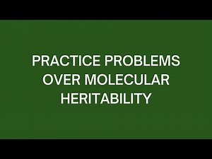 Practice Problems Over Molecular Heritability