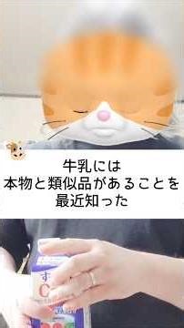 【検証】牛乳のホンモノとニセモノを飲み比べてみたら全然違った💦