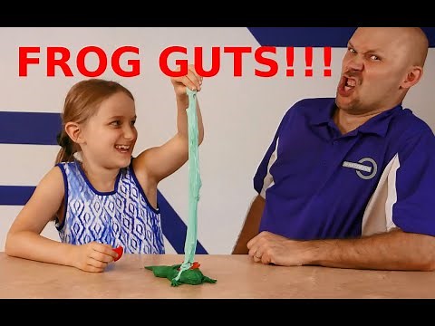 Frog Dissection Lesson