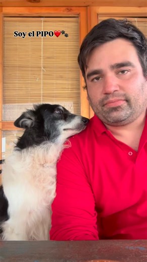 Pablo Machado | Los amigos no se compran 🙂❤️🐾 | Instagram