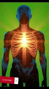 The Digestive LensWhat Happens Inside Your Body When You Eat Cheese Balls 🧀