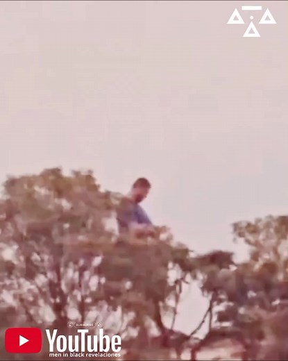 graba un gigante en #Brasil #brasil🇧🇷 #gigantes #giants #ufo #ovnis #bluebeam #extraterrestres #paranormal #matrix #strangerthings