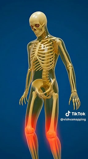 100 Squats a Day Challenge: Transform Your Fitness in 30 Days