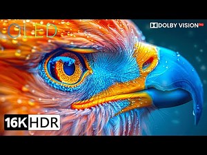 Experience the Future of Video Technology 🌟 | Stunning 16K HDR Ultra HD