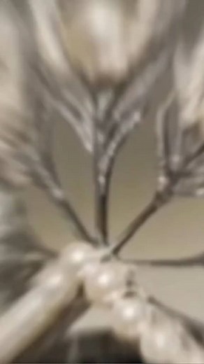 Most iconic crown 👑💖 #pageantrymoments | Pageantry Moments