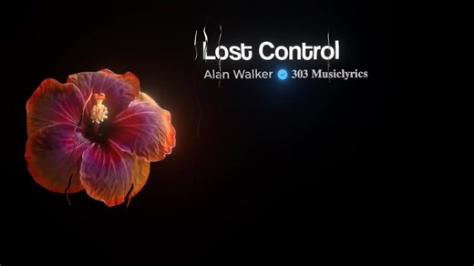 Lost Control Song Lyrics by Alan Walker