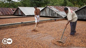 Can sustainability work as a business model?