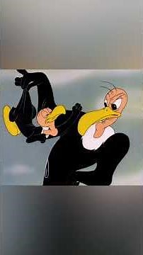 The smallest vulture