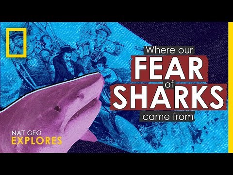 Where Our Fear of Sharks Came From | Nat Geo Explores