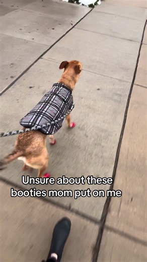 Frankie’s ruby slippers