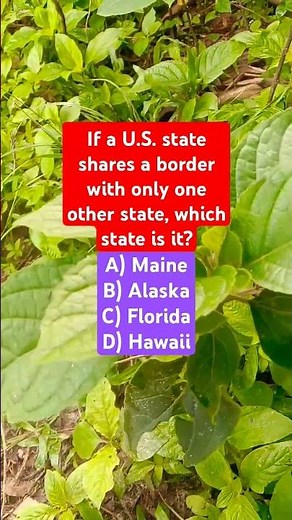 If a U.S. state shares a border with only one other state, which state is it?
