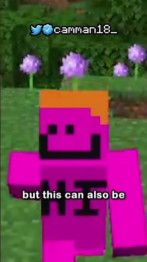 the item frame has a dark secret...