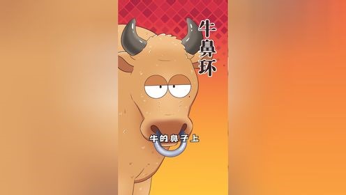 老牛鼻子上戴的环是干什么用的？