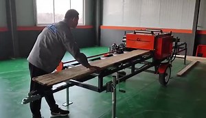 Hydraulic Wood Edger Twin Blade Board Edger