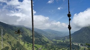 horizontal video of beautiful landscapes of the Cocora Valley in Colombia. Trips and beautiful towns. Wax palm tree. Colombian national tree.