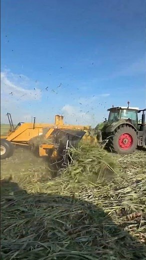 Merging Sorghum in a Fendt 930 with Oxbo merger #farming