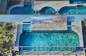 Morgan's Story - Free Morgan Foundation