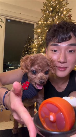 PRINCE on Instagram: "candy challenge with princey #fyp #dogsofinstagram #petchallenge"
