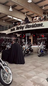 3.4K views · 67 reactions | Meg has a great finance offer for you! Give her a shout today and start the new season with your new Nightster Call today ☘️ 01-4642211 sales@harley.ie...#dublinharleydavidson #harleydavidson #buythedamnbike #motorcycle #LiveLifeWithHD #financehd #harleydavidson | Dublin Harley-Davidson | Facebook