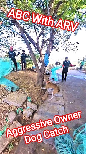 Owner Aggressive Dog Catch Team 🙀#shorts #ytviral #dog #amazing #streetdogrevival #animals