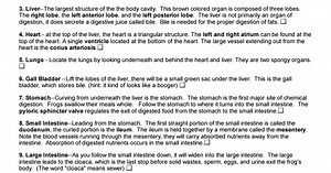 Student Guide to the Frog Dissection.pdf