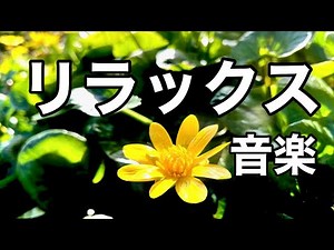 【癒しBGM】自律神経を整え心が落ちつくヒーリングミュージック、不安やストレス解消のためのリラックス音楽/睡眠用・作業用・勉強用BGM