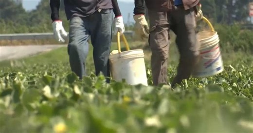 La Toscana dice no al caporalato