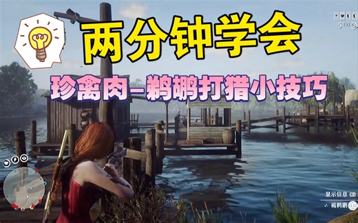 荒野大镖客2｜烹饪调味珍禽肉，鹈鹕打猎小技巧，就是这么牛哦