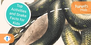 Top Activities and Snake Facts for Kids - Twinkl