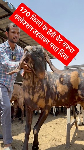 2.2M views · 10K reactions | #farmingbaba #viral #shorts #trending #reels #reelfb #famous #goat #bakri | Farming baba | Facebook