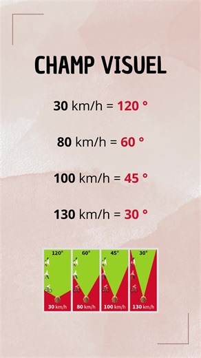 Champ Visuel - Code de la route #champvisuel #codedelaroute #codedelaroutequestion #codedelaroute2025 #ficherevision #revisioncodedelaroute