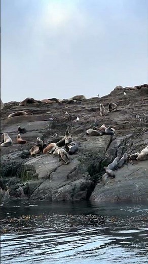 Faro Les Éclaireurs, Ushuaia, Argentina 🇦🇷
