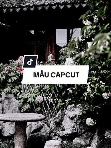 BABY SAY BYE BYE REMIX bạn đang tìm mẫu này #capcutmaster #nhacchaymoingay #capcutpioneer #pioneertemplate #topxuhuong