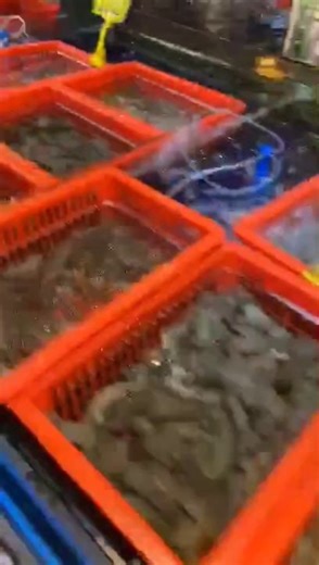 China Fish Market (Fish, Crab, Lobster)