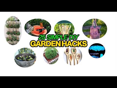 25 Genius Garden Hacks That Make Your Yard Look Expensive (On a Tiny Budget)