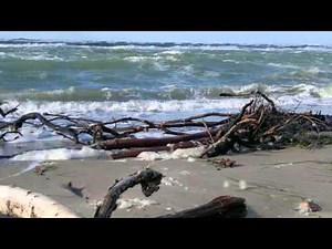 Danke für diesen guten Morgen