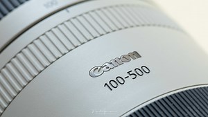 We Review the Canon RF 100-500mm f/4.5-7.1L IS USM Mirrorless Lens