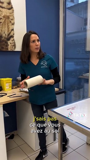 Techniques de traitement des puces chez le chien