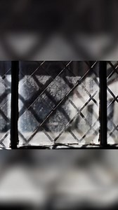 She started as an enlisted medic, dreaming of flight but facing barriers. A colonel's promise changed everything, leading her to the skies in Desert Storm. After retiring and struggling with PTSD, she emphasizes the importance of opening up, even for military veterans. #DesertStorm #MilitaryLife #PTSDAwareness #VeteranStories #FlightSchool From: Prison Dogs | Prison Stories