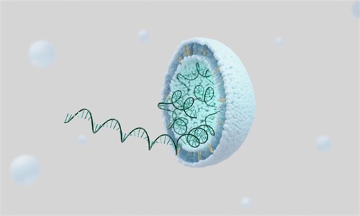 A Brief History of mRNA Vaccines
