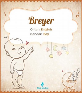 Breyer Name Meaning, Origin, History, And Popularity