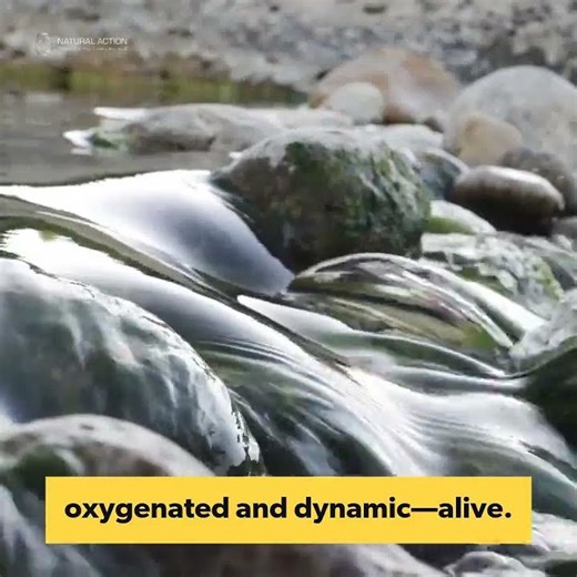 Nature Keeps Water Flowing