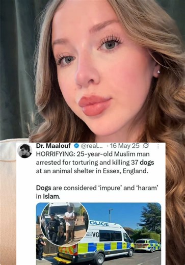 The Impact of Animal Abuse on Society