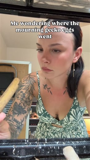 𝕁 𝕌 𝕃 𝔼 𝕊 🌿 on Instagram: "🦎 Mourning Gecko Fun Facts 🦎 • 🦎 Mourning Geckos are often cannibalistic. They will sometimes eat their own eggs and even their hatchlings. • 🦎 Mourning Geckos are parthenogenenic! This means that do not need males to reproduce. Real life clones! • 🦎 They can cohabitate with certain dart frog species that are diurnal (active during the day) and terrestrial, as long as it’s in a bioactive setup. I house mine with my dendrobrates tinctorius. • 🦎 For such a sm