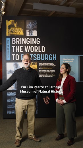 Discover specimens from all of our scientific collections when you visit our newest exhibition, The Stories We Keep: Bringing the World to Pittsburgh! | Carnegie Museum of Natural History