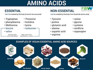 What are the plant-based sources of essential amino acids? [2025] | QAQooking.wiki